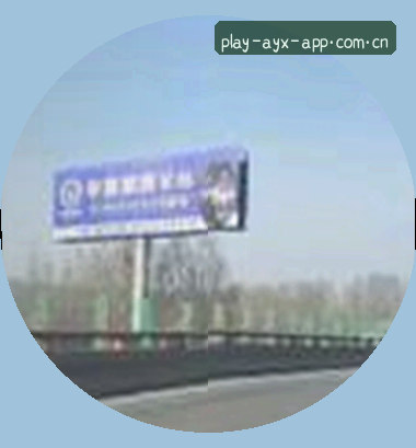 陈雅